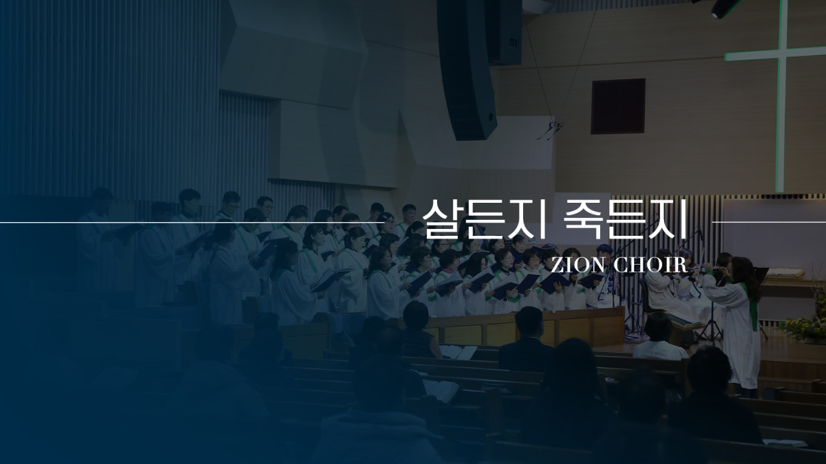 "살든지 죽든지" 썸네일
